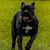 Christy Ann Six's profile image