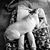 Gee Aiello's profile image
