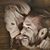 Jeff Rogers's profile image