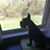 Donna Batson Keenum Stewart's profile image