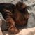 Melissa Carver's profile image