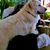 Vicki Hungerford Klemm's profile image