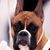 Cheryl C Robbins's profile image