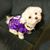 Carol Babatz's profile image