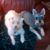 Mary Nell Greer-Burnette's profile image