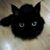 Brandi E. Jackson's profile image