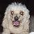Karen Lizza's profile image