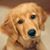 Patricia Smith's profile image