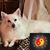 Diane Hamilton-Chandley's profile image