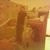 Marjorie Johnson's profile image