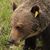 Bret Peckens's profile image
