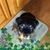 Rachel Morse Laberge's profile image