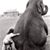 Marilyn Oden's profile image
