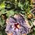 Christine Phillips Wysock's profile image