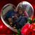 Gail Barger's profile image