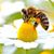 Jina S. Jones's profile image