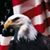 Doug Goss's profile image