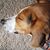 Julie R Basque's profile image