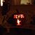 Gary Confer's profile image