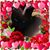 Terry Karras's profile image