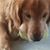 Lori Gelbart's profile image