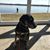 Doreen Miller's profile image