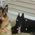 Lorraine Maass's profile image