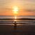 Tabitha Roark's profile image