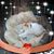 Mary Comerford's profile image