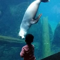 Hanna Stien's profile image