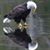 Mike Cantrell's profile image