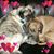 Aliceann Campbell's profile image