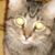 Sam Shawley's profile image