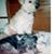 Moira E. Fay's profile image