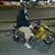 Luis Ruiz's profile image