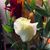Marianne Hagen's profile image
