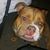 Rudy Gonzales's profile image