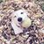 Mary Jo Stanton's profile image