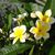 Sandra Gilliland's profile image