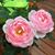 Kathy Hagedorn Kortvejesi's profile image