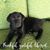 Vicki Allen Smith's profile image