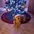 Julie Pelton's profile image
