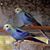 Stephen Waddell's profile image