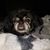 Kristen Lorentsen's profile image