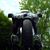 Riding Along's profile image