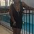 Andrea Dana McGee's profile image