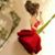 Loulou Loulou's profile image