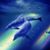 Debbie Hayden's profile image
