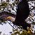 Vincent Lupoli's profile image