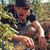 Joshua Chesterson's profile image